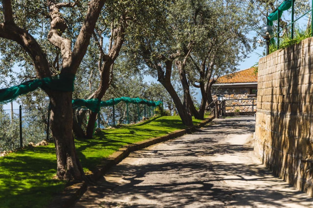 マッサ・ルブレンセ Casa Clementina Marciano Bed & Breakfast エクステリア 写真