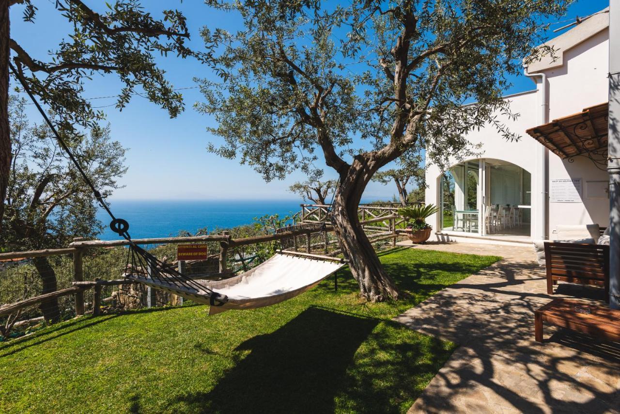マッサ・ルブレンセ Casa Clementina Marciano Bed & Breakfast エクステリア 写真