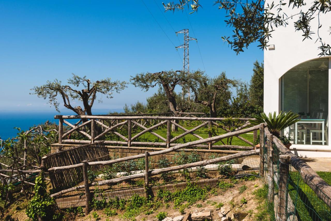 マッサ・ルブレンセ Casa Clementina Marciano Bed & Breakfast エクステリア 写真