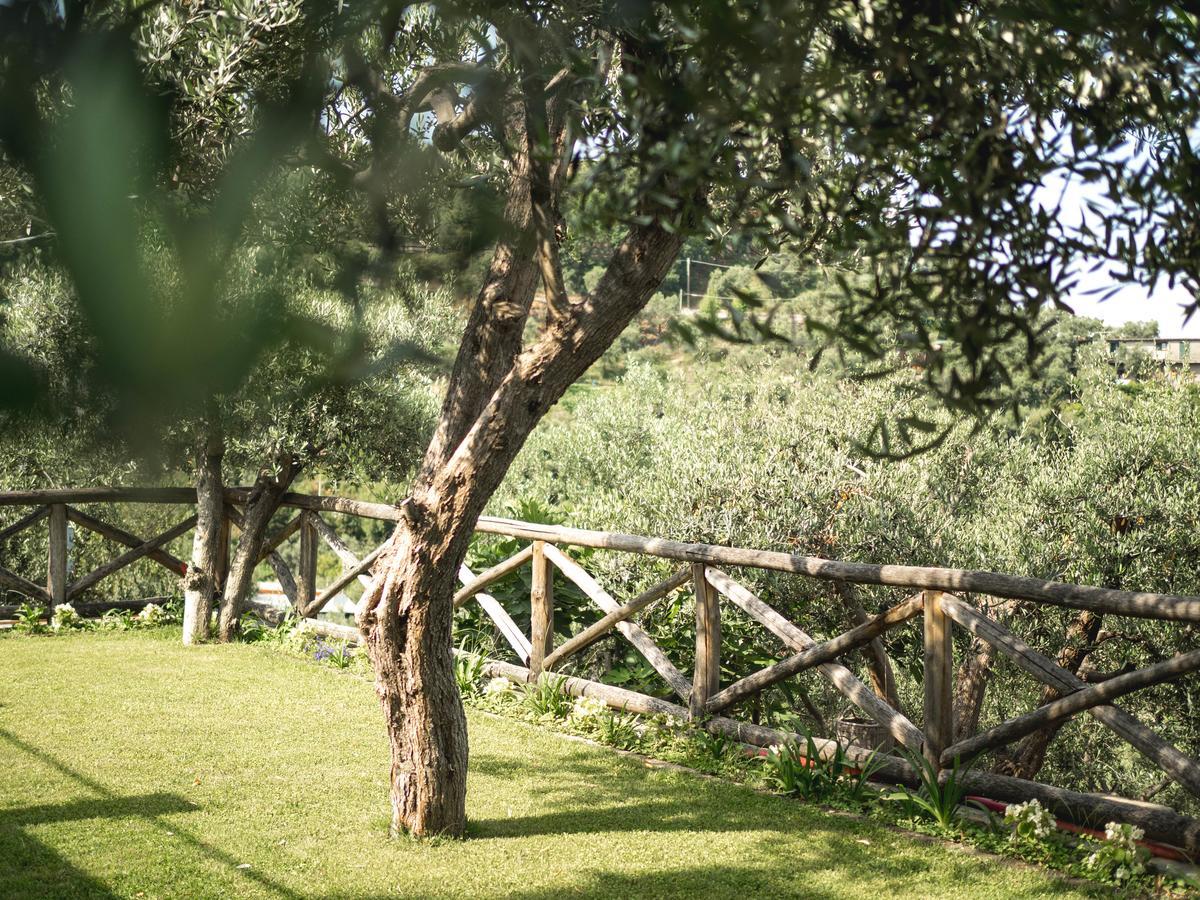 マッサ・ルブレンセ Casa Clementina Marciano Bed & Breakfast エクステリア 写真